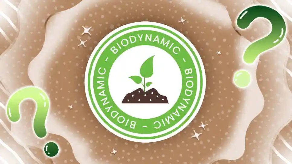 biodynamic hay sinh học năng lượng là gì