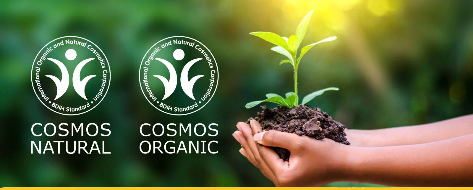 sản phẩm organic cho tóc có chứng nhận quốc tế nào