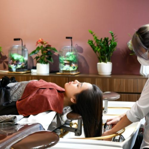 Gội đầu dưỡng sinh khu vực Tây Hồ